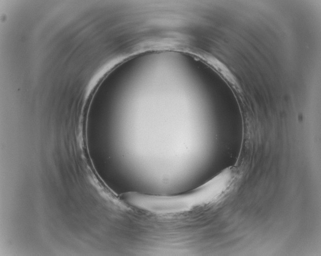 X0000070380904200606121250