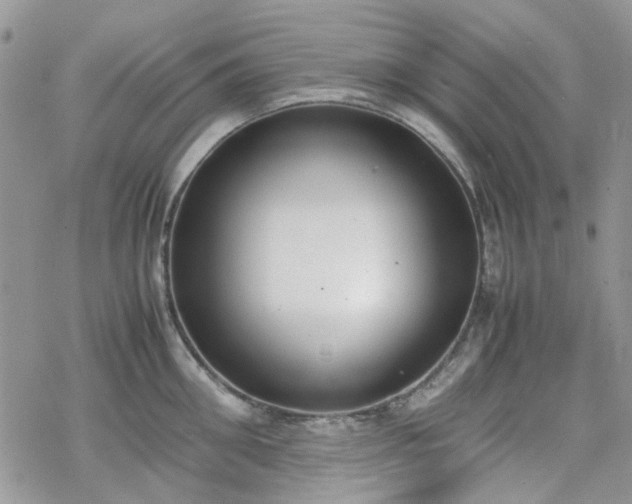 X0000070380906200606121249