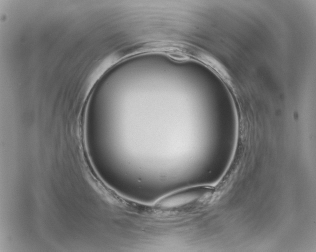 X0000070380907200606121249