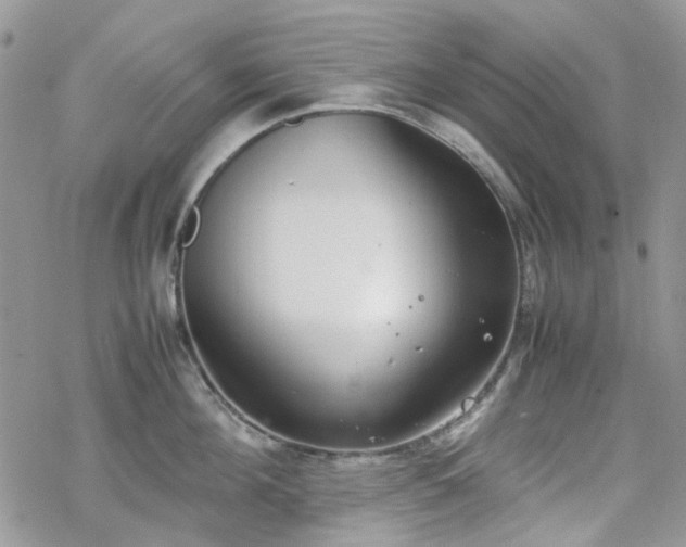 X0000070380908200606121249