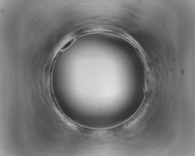 X0000070380909200606121249