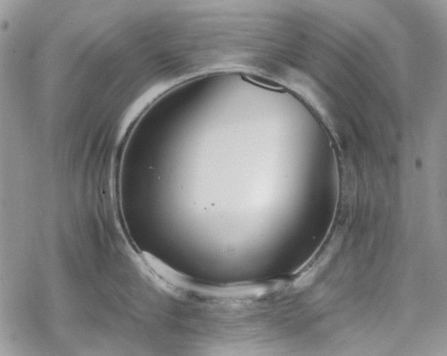 X0000070380910200606121249