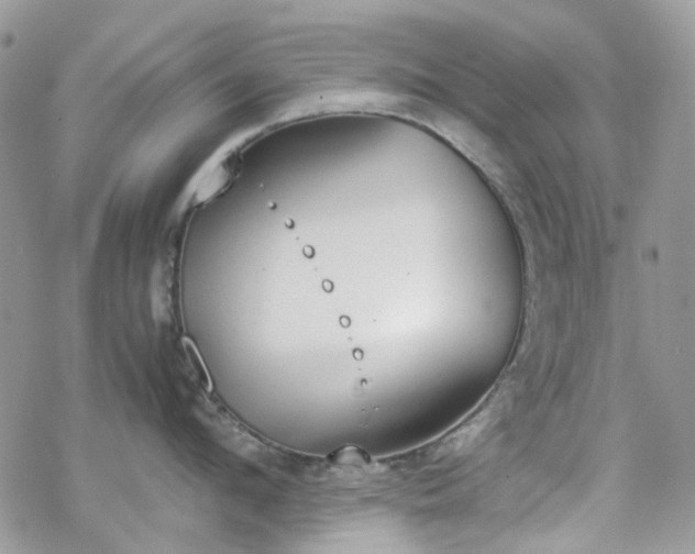 X0000070380912200606121249