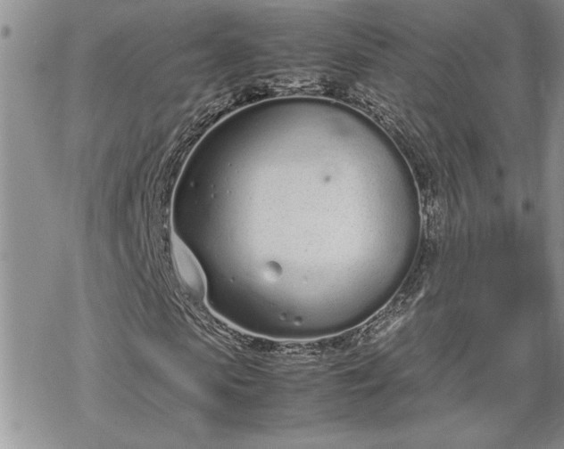 X0000070380913200606121249