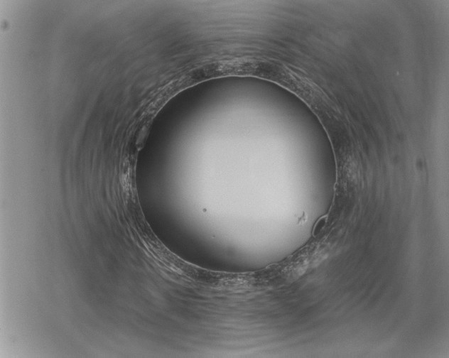 X0000070380914200606121249