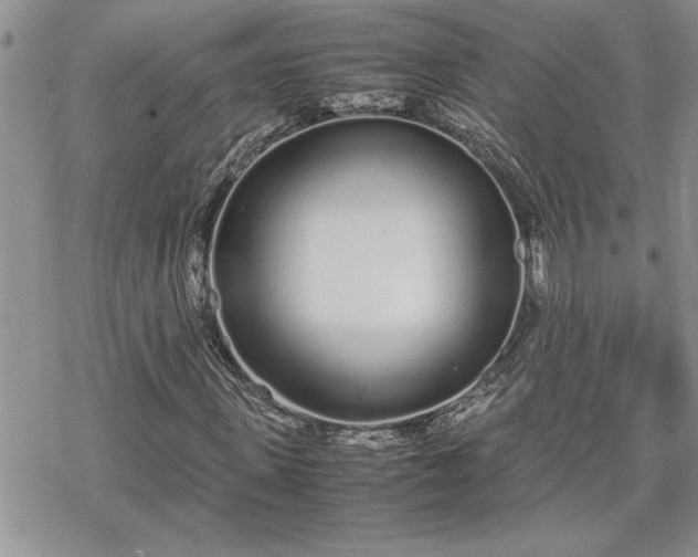 X0000070380915200606121249