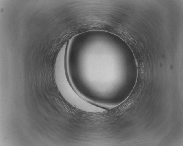 X0000070380916200606121249