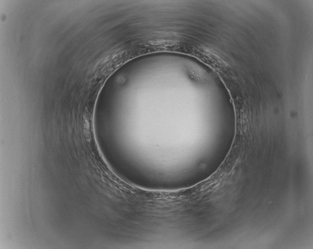 X0000070380917200606121249