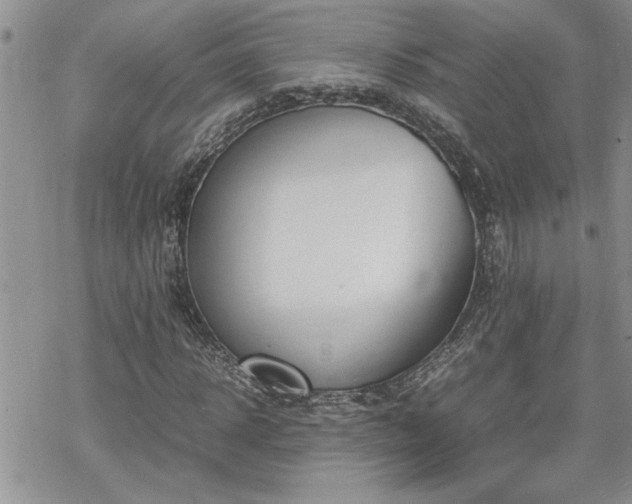 X0000070380918200606121249