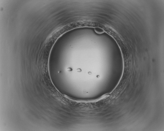 X0000070380919200606121249