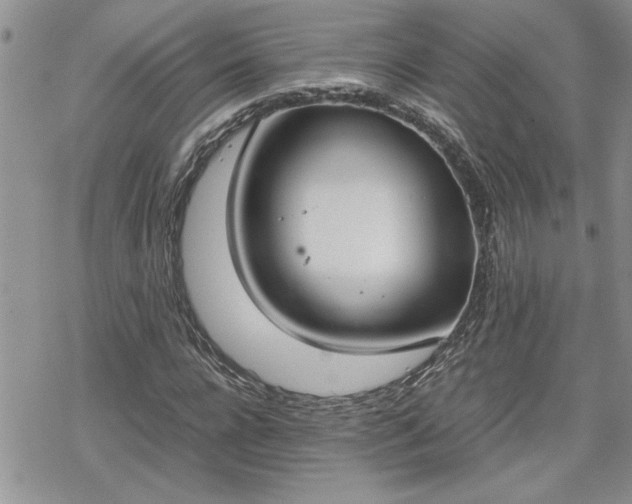 X0000070380920200606121249