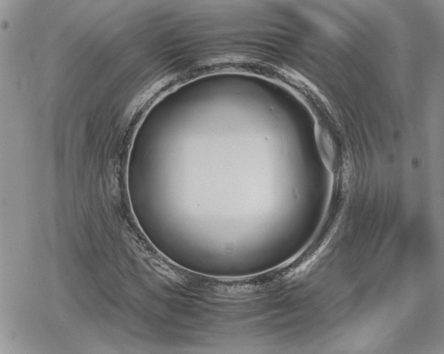 X0000070380921200606121249