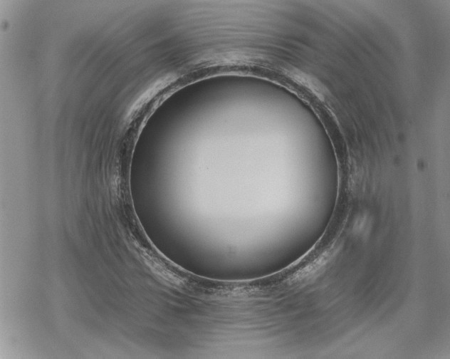 X0000070380922200606121249