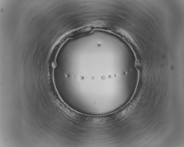 X0000070380923200606121249