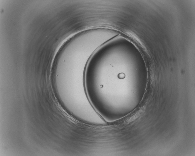 X0000070380924200606121249