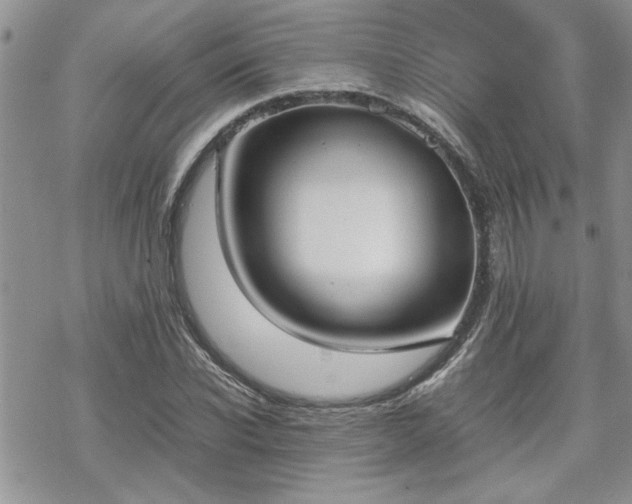 X0000070380926200606121249