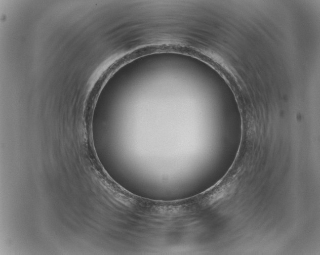 X0000070380927200606121249