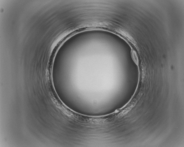 X0000070380928200606121249