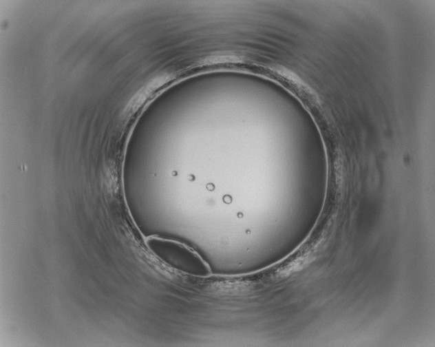 X0000070380929200606121249