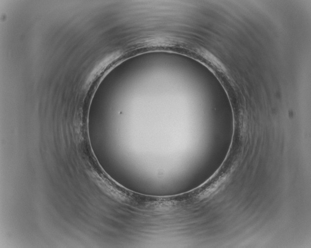 X0000070380930200606121249