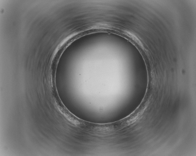 X0000070380931200606121249