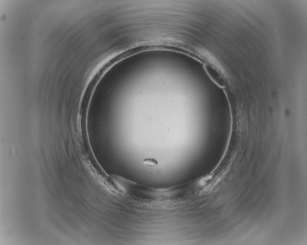 X0000070380932200606121249