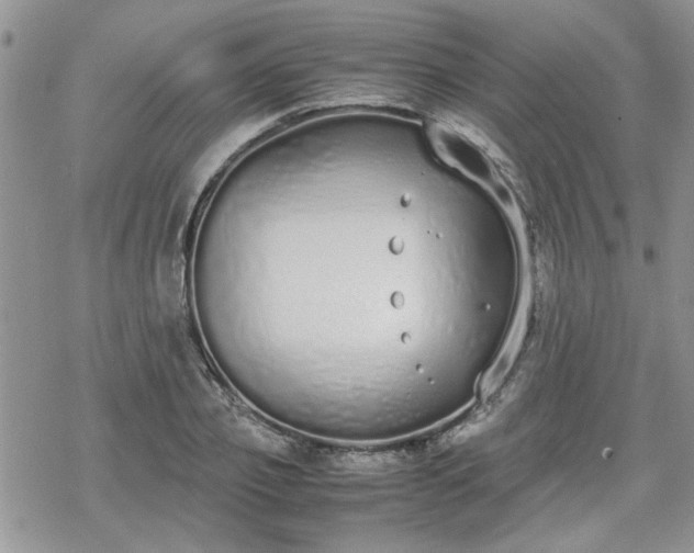 X0000070380933200606121249