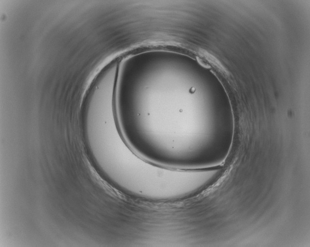 X0000070380934200606121249