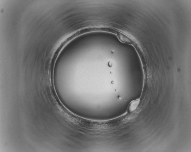 X0000070380935200606121249