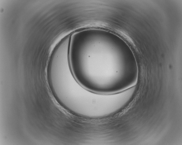 X0000070380936200606121249