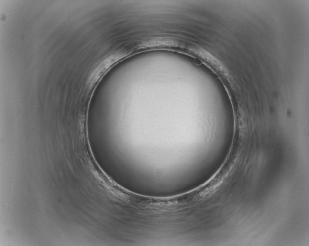 X0000070380937200606121249