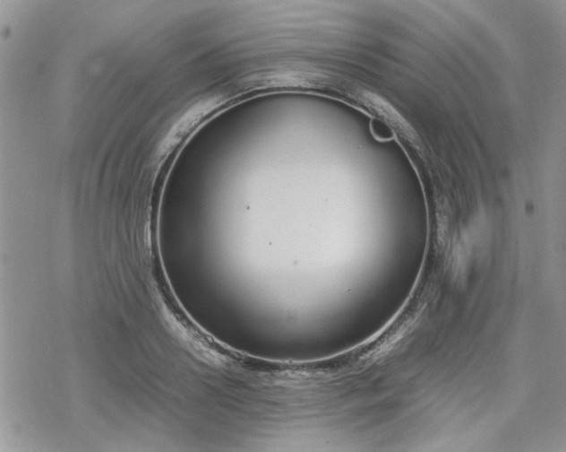 X0000070380938200606121249