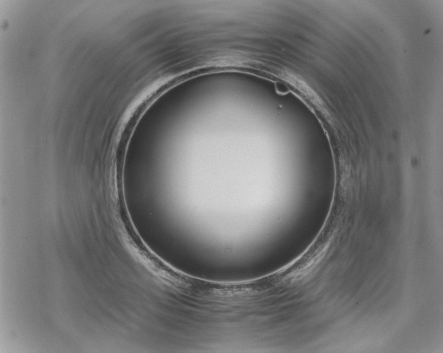 X0000070380939200606121249