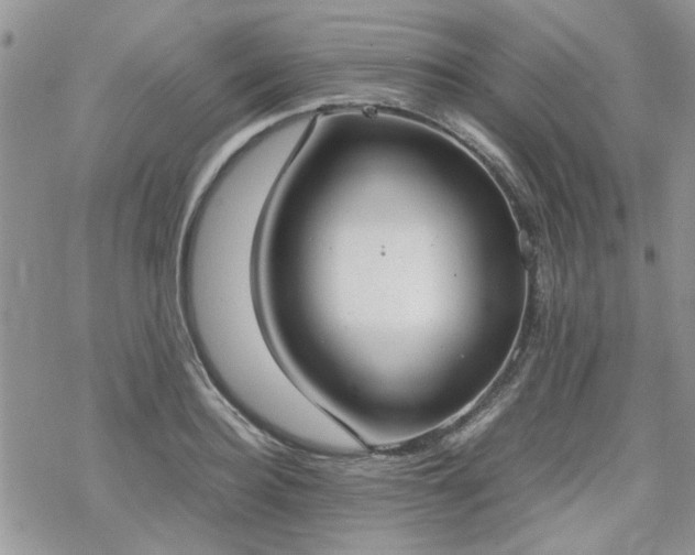 X0000070380940200606121249