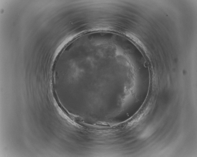 X0000070380941200606121249