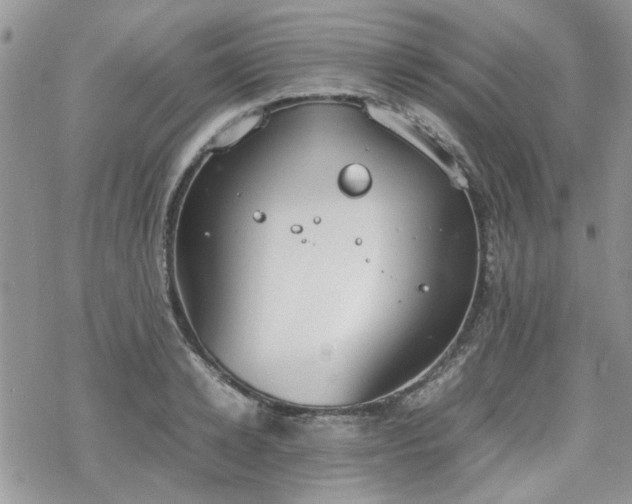 X0000070380942200606121249