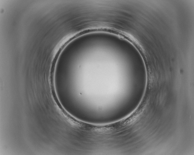 X0000070380943200606121249