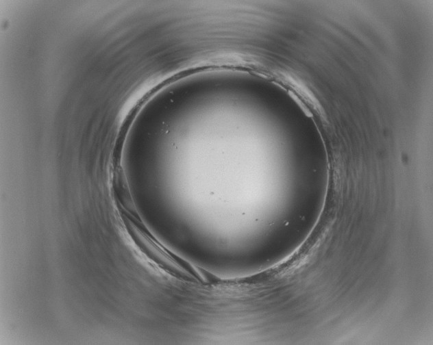 X0000070380944200606121249