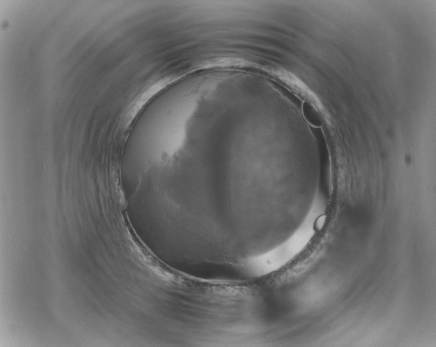 X0000070380945200606121249