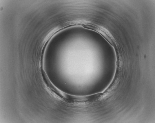 X0000070380946200606121249