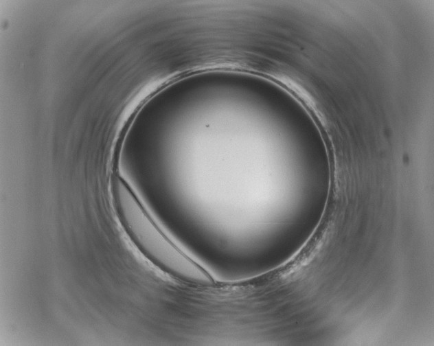 X0000070380949200606121249