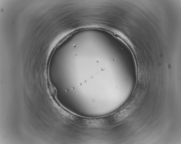 X0000070380951200606121249