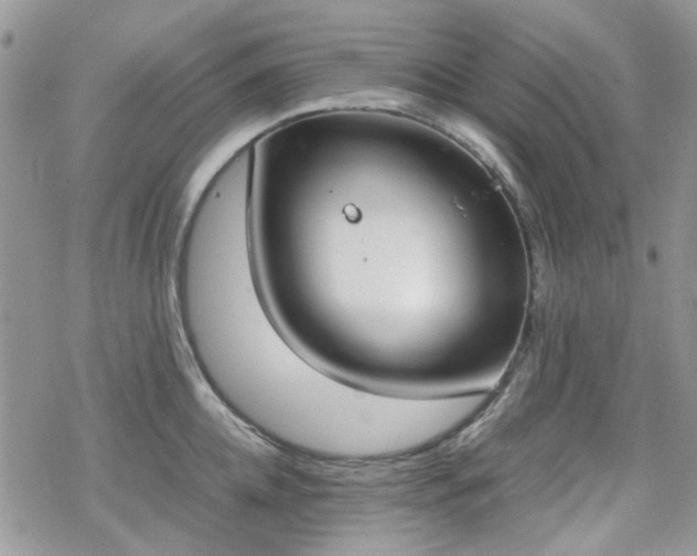 X0000070380952200606121249