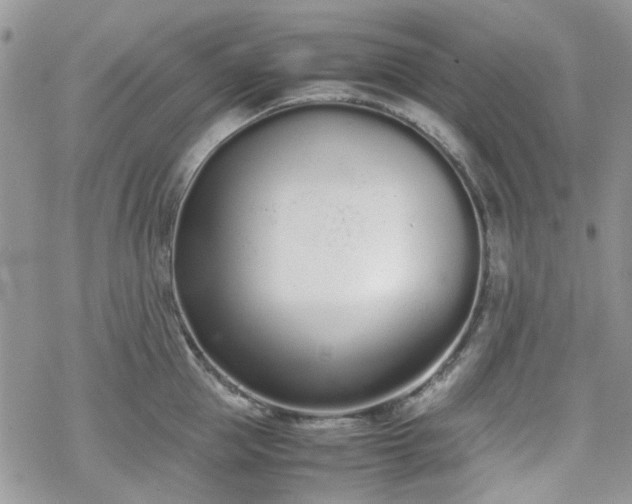 X0000070380953200606121249