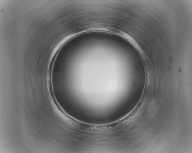 X0000070380955200606121249