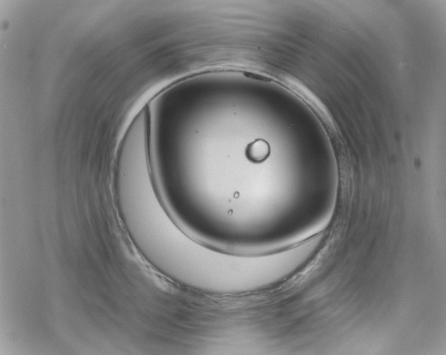 X0000070380956200606121249