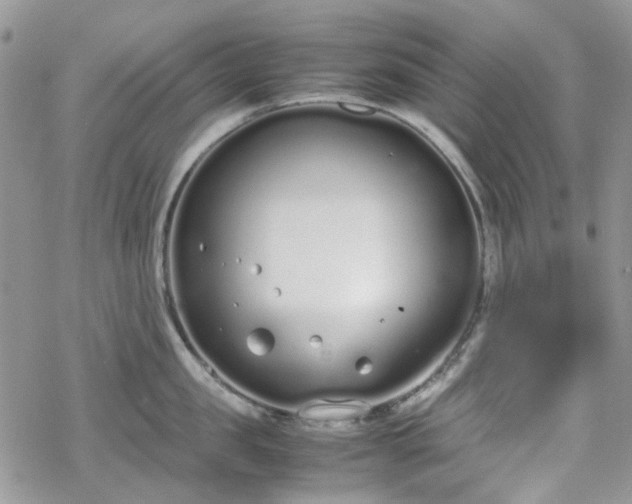 X0000070380957200606121249