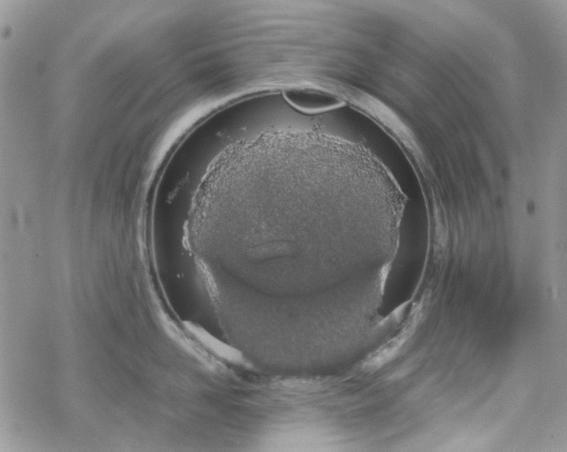 X0000070380958200606121249