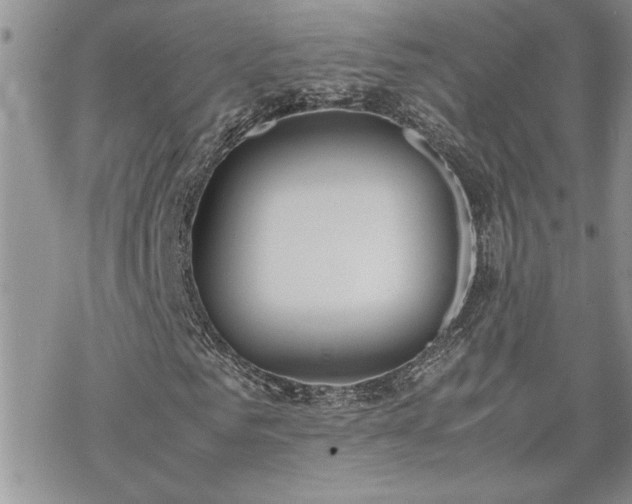 X0000070380961200606121249