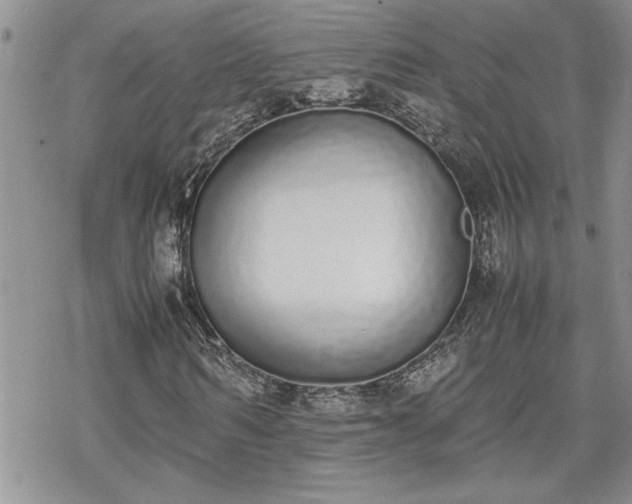 X0000070380962200606121249